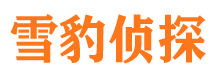 永春市侦探公司